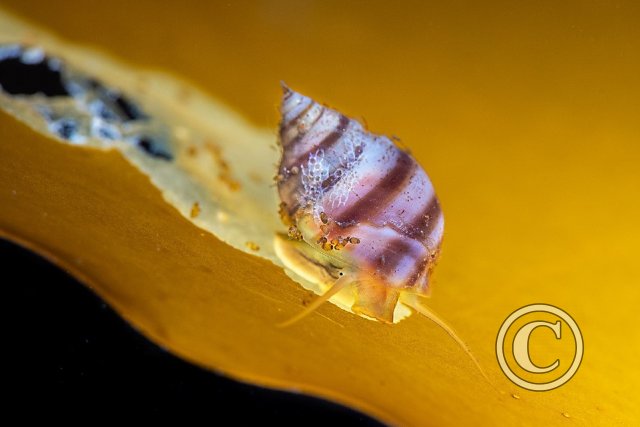 October 2023: Best of British - Second (image 3)