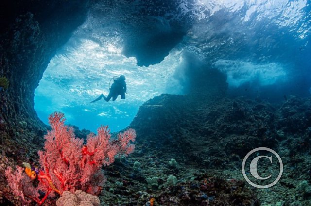 December 2023: Shallow and Surface Water - Joint Third