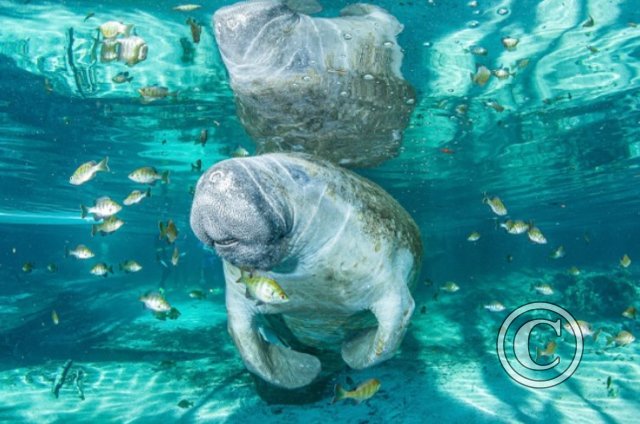 December 2023: Shallow and Surface Water - Joint Third