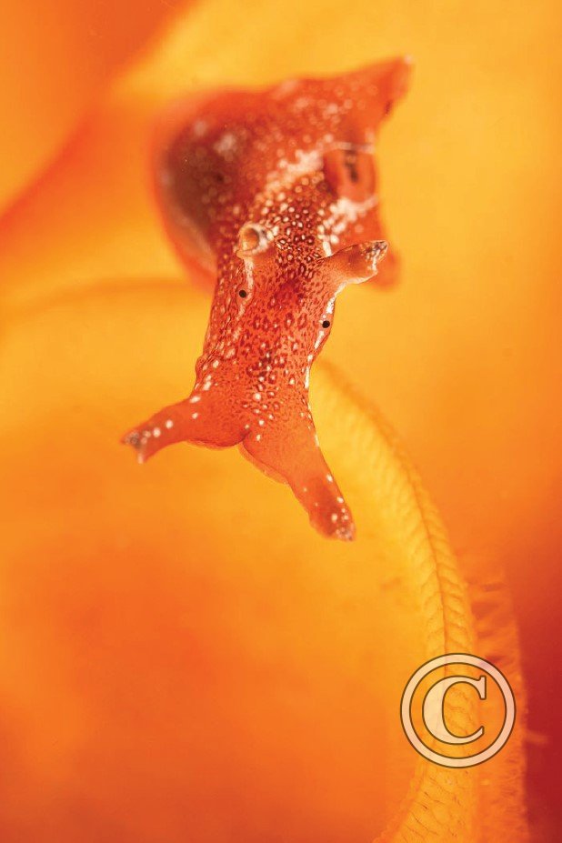 October 2023: Best of British - Winner (image 1)