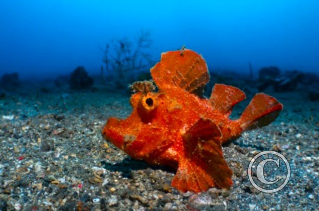 December 2023: Print Competition - Joint Winner