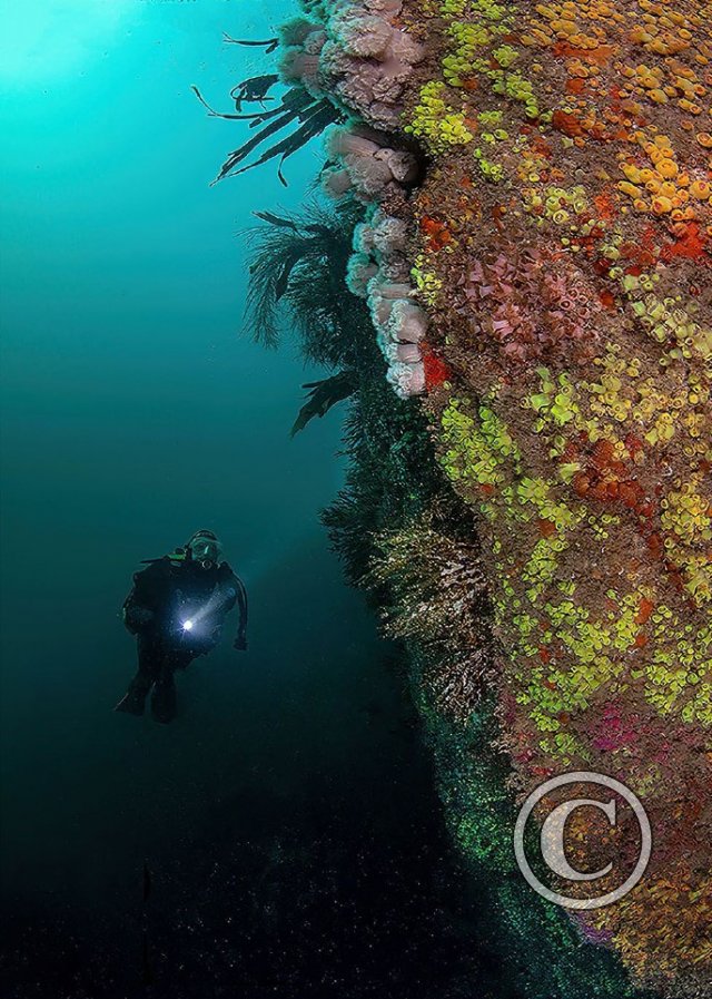 October 2023: Best of British - Third (image 1)