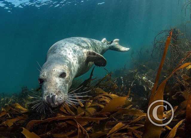 October 2023: Best of British - Third (image 3)