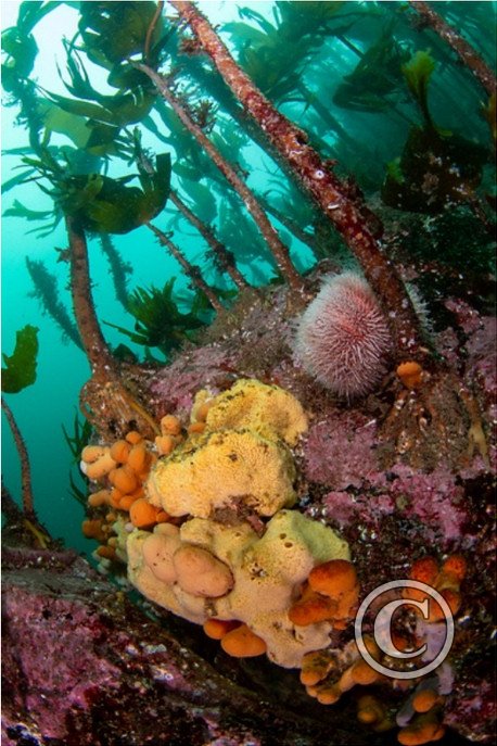 August 2023: Wide Angle - Joint Second