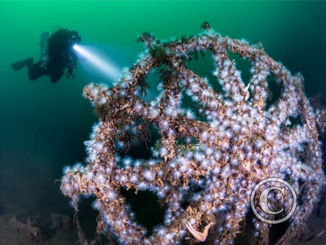 August 2023: Wide Angle - Winner