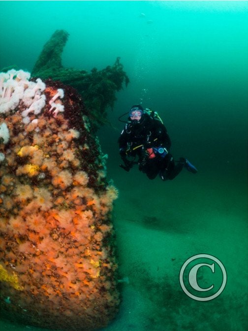 August 2023: Wide Angle - Joint Third