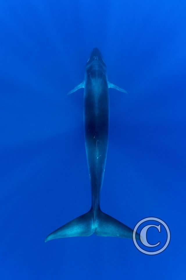 Best of 2024 - Second