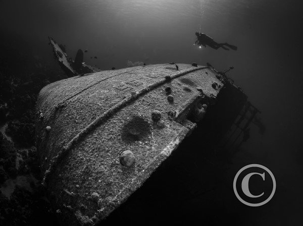 January 2024: Black & White - Joint Fourth