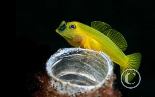 March 2024: Theme Portfolio: Winner (image 1)