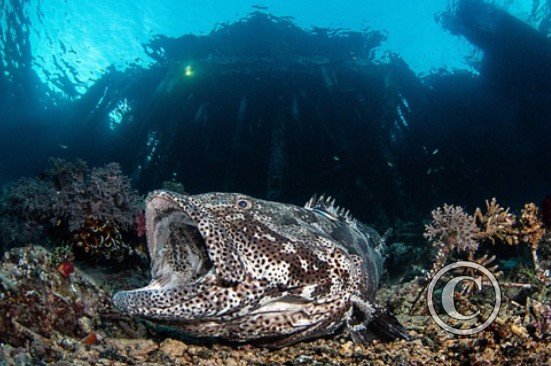 March 2024: Theme Portfolio: Winner (image 2)