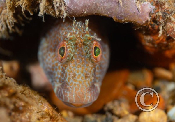 March 2024: Theme Portfolio: Third (image 2)