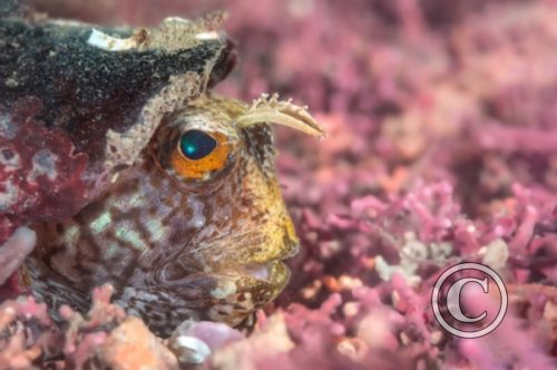 March 2024: Theme Portfolio: Third (image 1)