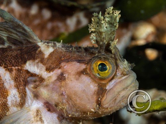 March 2024: Theme Portfolio: Third (image 3)