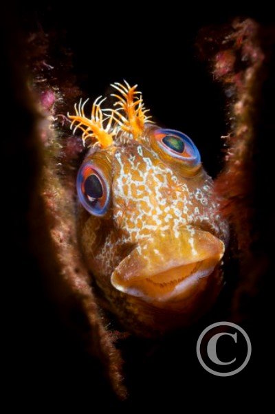 March 2024: Theme Portfolio: Second (image 1)