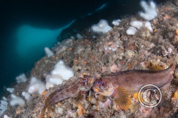 March 2024: Theme Portfolio: Second (image 2)