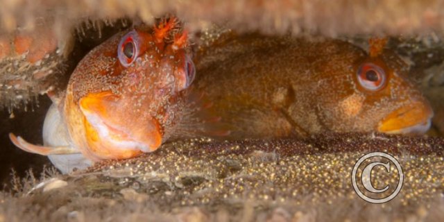 March 2024: Theme Portfolio: Second (image 3)