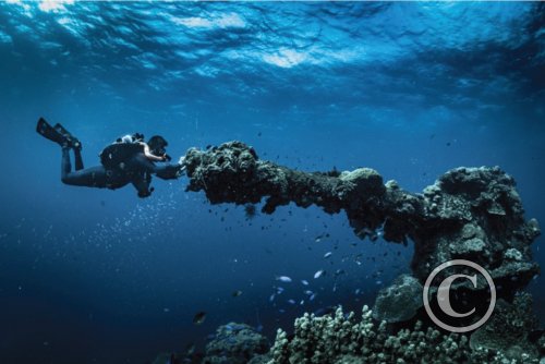 July 2024: Ambient Light - Joint Winner