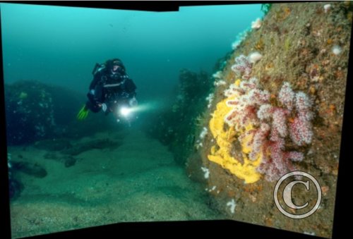 July 2024: Splash In Wide Angle - Commended