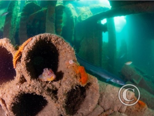 July 2024: Splash In Wide Angle - Second