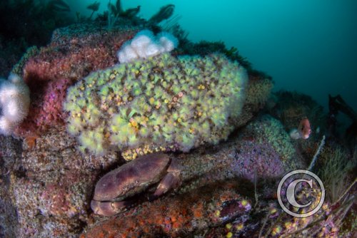 July 2024: Splash In Wide Angle - Winner