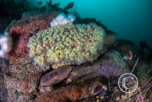 July 2024: Splash In Wide Angle - Winner