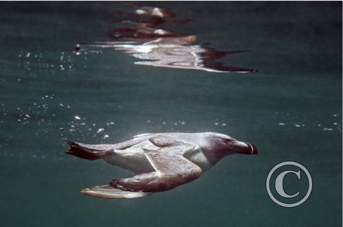 August 2024: Reflections - Joint Third