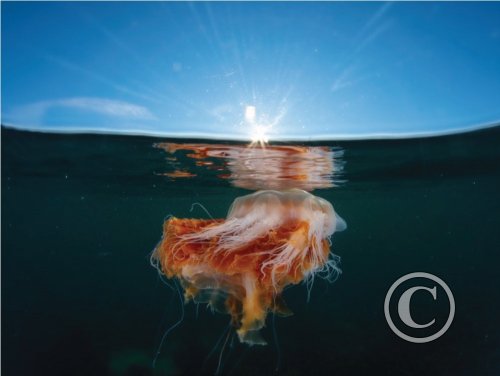 August 2024: Reflections - Second