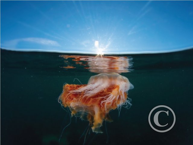 August 2024: Reflections - Second