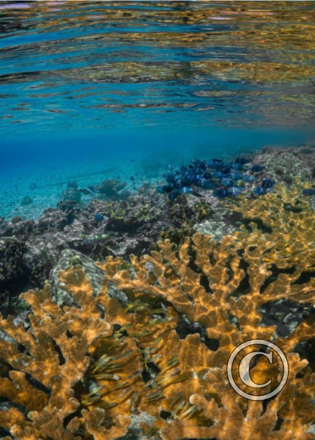 August 2024: Reflections - Joint Third