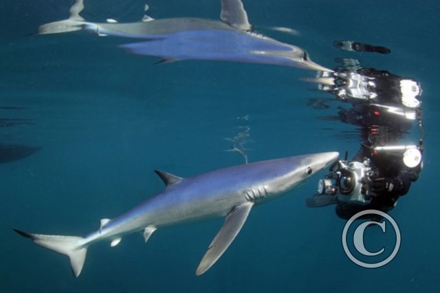 August 2024: Reflections - Joint Third