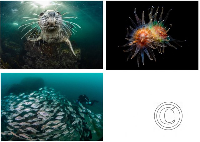 October 2024: Best Of British: Joint Winner