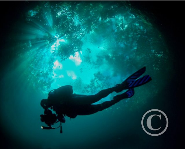 November 2024: Snell's Window - Winner