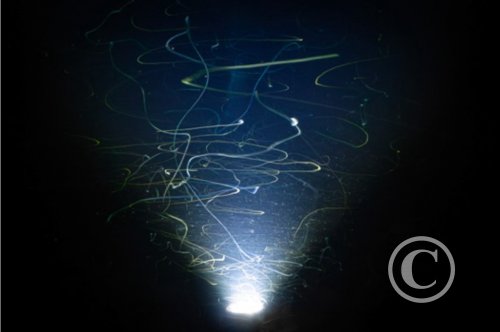 January 2025: Slow Shutter Speed - Third