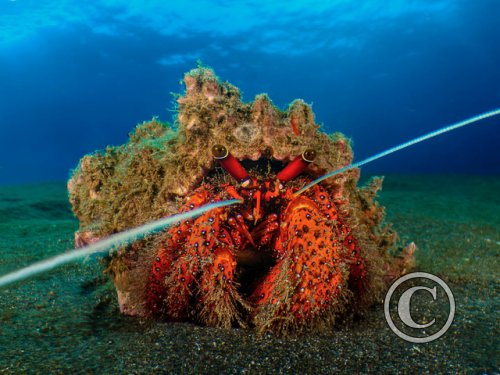 March 2025: Theme Portfolio - Joint Second