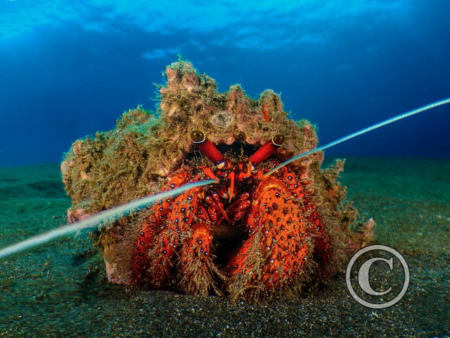 March 2025: Theme Portfolio - Joint Second