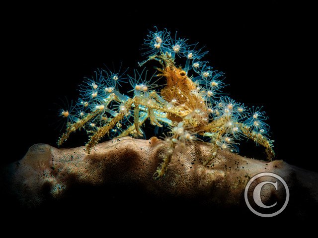 March 2025: Theme Portfolio - Joint Second