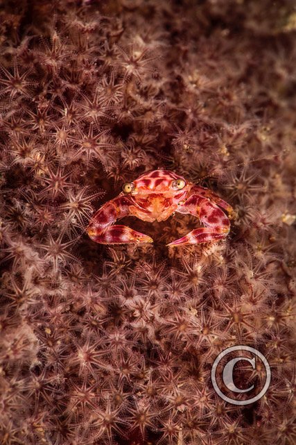 March 2025: Theme Portfolio - Joint Second