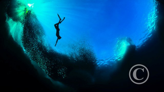 June 2025: Silhouette - Joint third