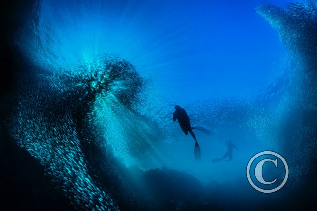 August 2025: Sunbeams - Joint winner