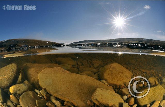 September 2025: Split Shots - Joint third