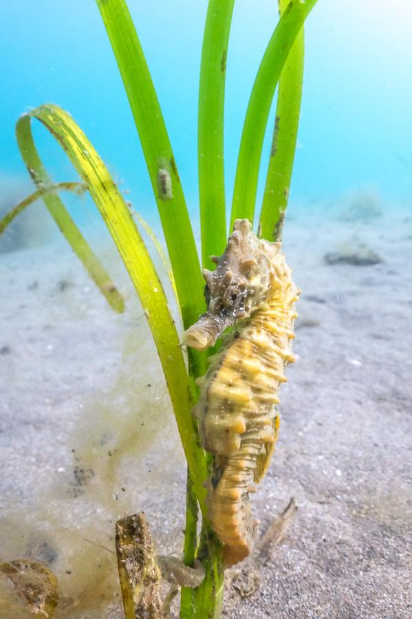 2025 Competition Winners