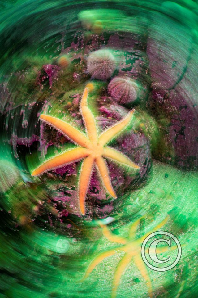 November 2025: Best of British - Joint second