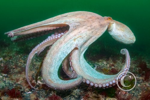 November 2025: Portrait - Joint third