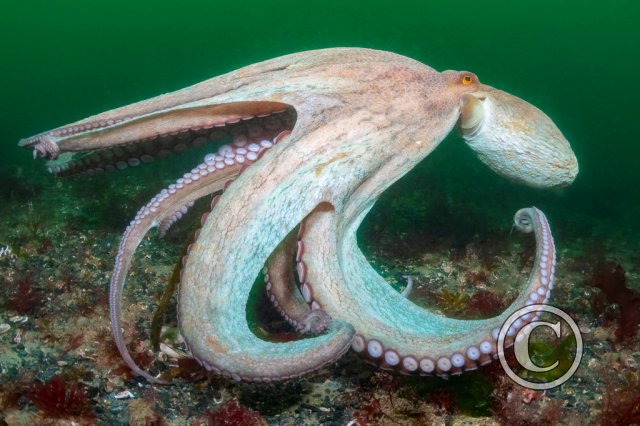 November 2025: Portrait - Joint third