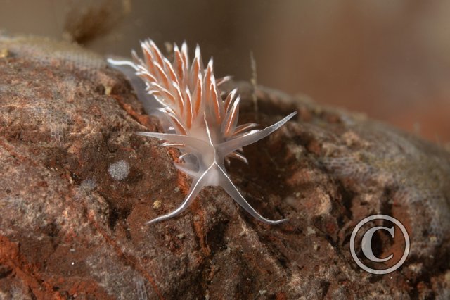 December 2025: Beginners Portfolio - Winner