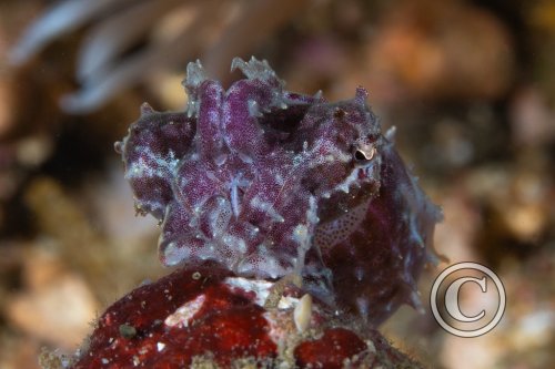 December 2025: Beginners Portfolio - Winner