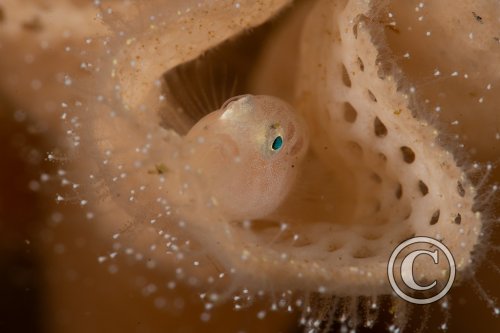 December 2025: Beginners Portfolio - Winner