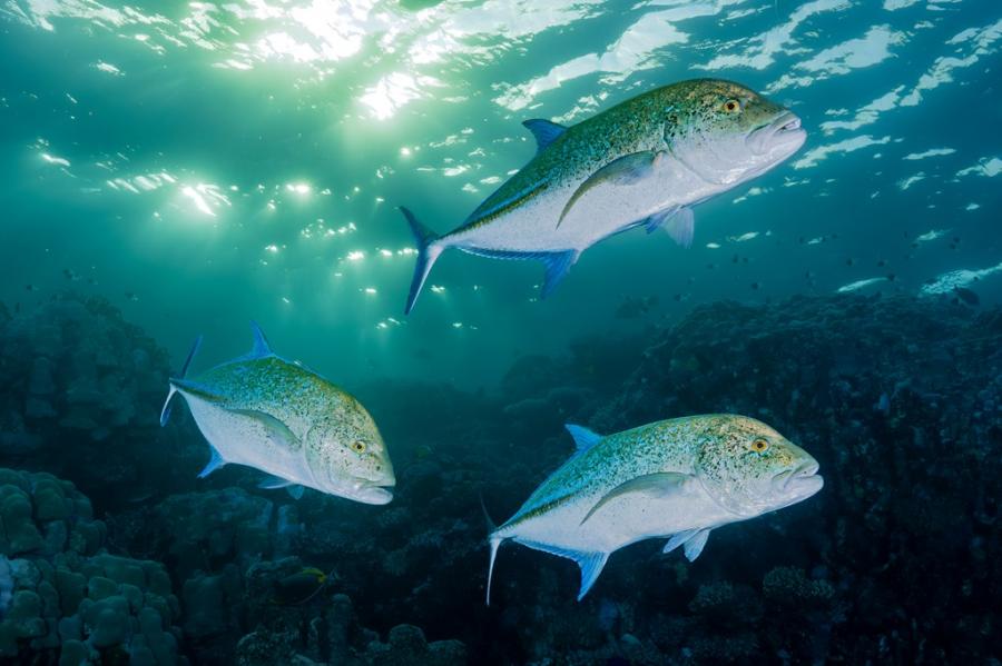 2025 Competition Winners