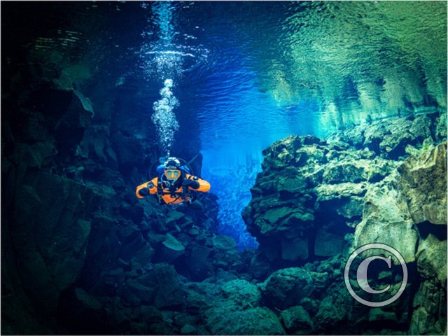 January 2026: Divers - Joint Winner