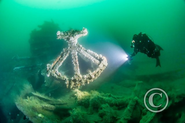 January 2026: Divers - Third